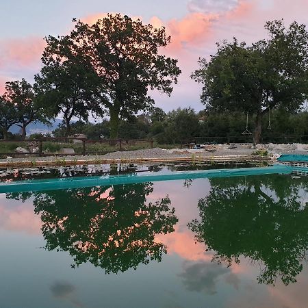 Agriturismo Albero Del Miele Villa San Rufo Ngoại thất bức ảnh