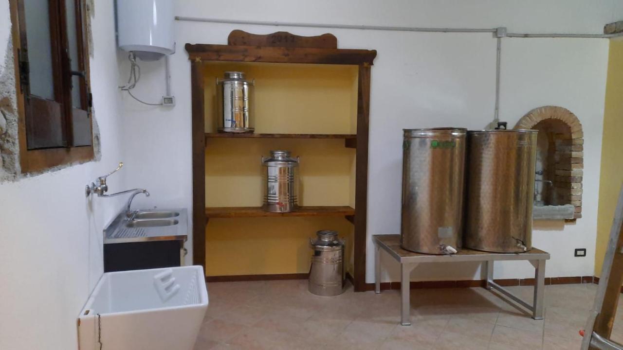 Agriturismo Albero Del Miele Villa San Rufo Ngoại thất bức ảnh