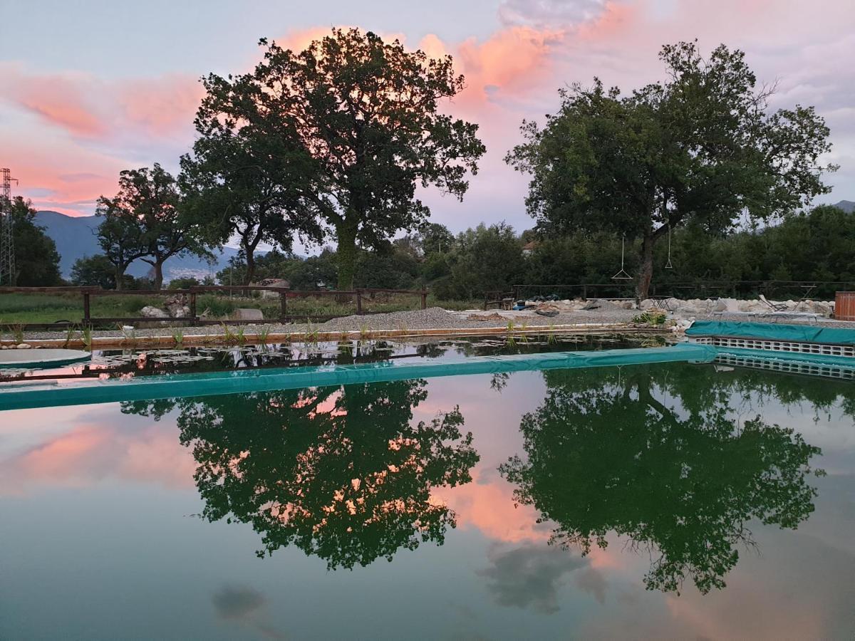 Agriturismo Albero Del Miele Villa San Rufo Ngoại thất bức ảnh